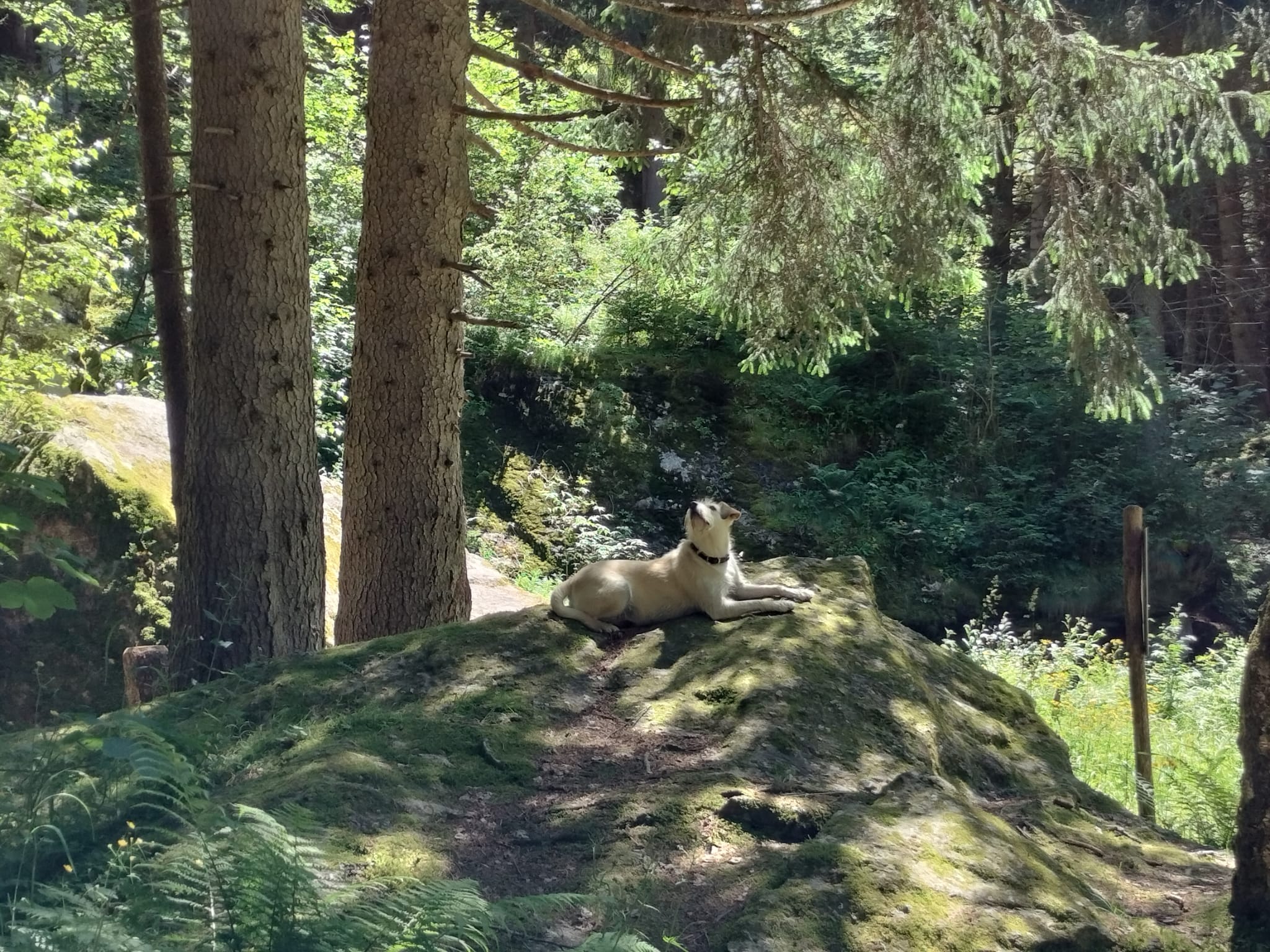 Naturerlebnisse im Wallis